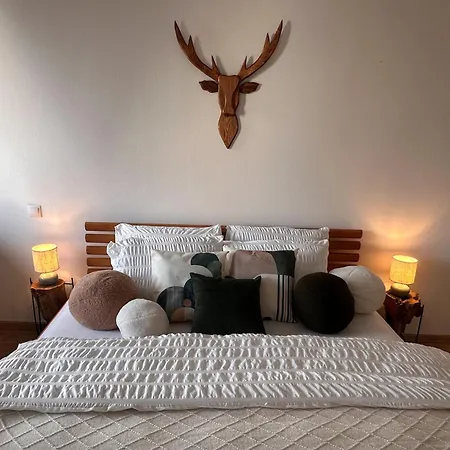 U Jelena S Parkovacim Mistem V Centru Mesta Apartment Ceske Budejovice