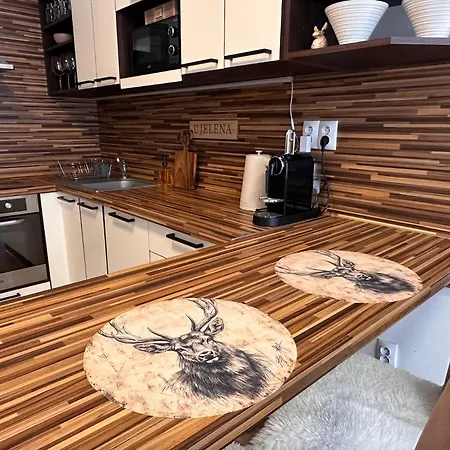 U Jelena S Parkovacim Mistem V Centru Mesta Чеське Будєйовіце