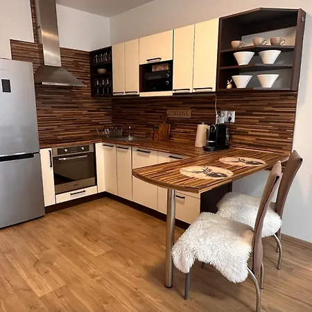 U Jelena S Parkovacim Mistem V Centru Mesta *