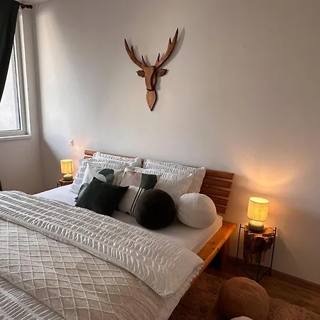 U Jelena S Parkovacim Mistem V Centru Mesta * Чеське Будєйовіце