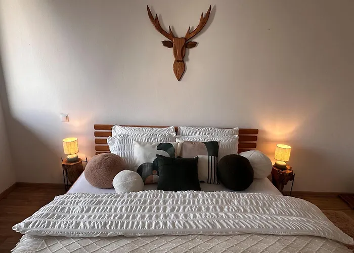 U Jelena S Parkovacim Mistem V Centru Mesta 아파트 체스케부데요비체