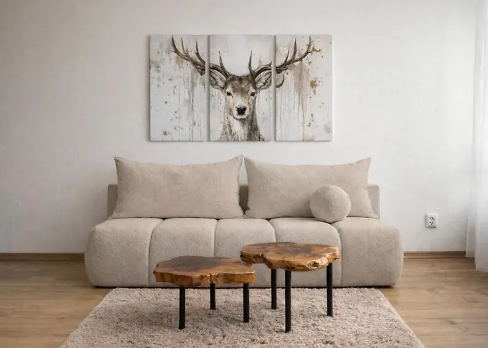 U Jelena S Parkovacim Mistem V Centru Mesta