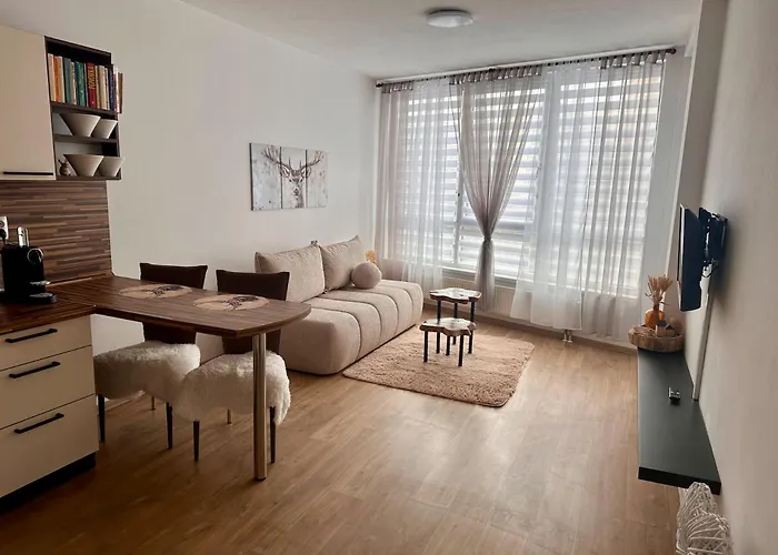 U Jelena S Parkovacim Mistem V Centru Mesta Apartment Ceske Budejovice