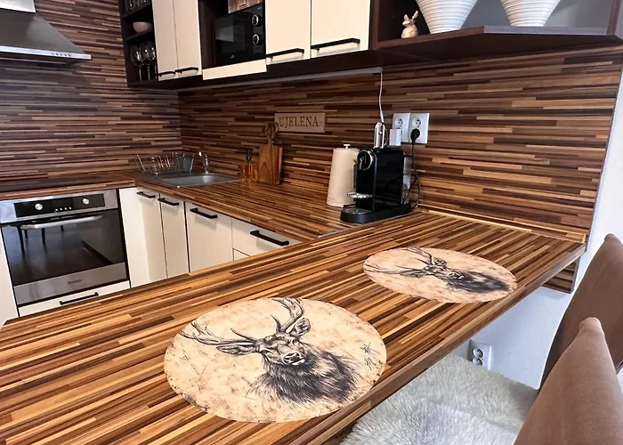 U Jelena S Parkovacim Mistem V Centru Mesta Чеське Будєйовіце