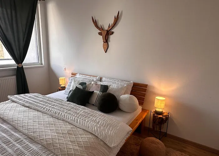 U Jelena S Parkovacim Mistem V Centru Mesta * Чеське Будєйовіце